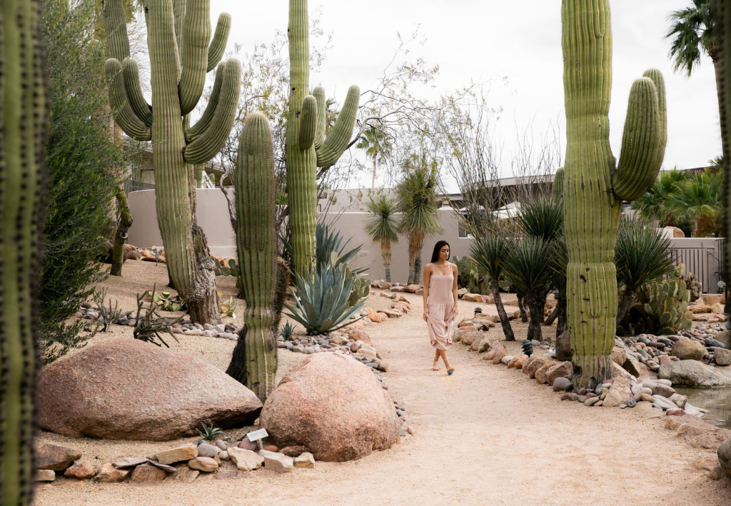 November 6-9, 2025
Civana Carefree Resort & Spa
Guided by Candice Barley