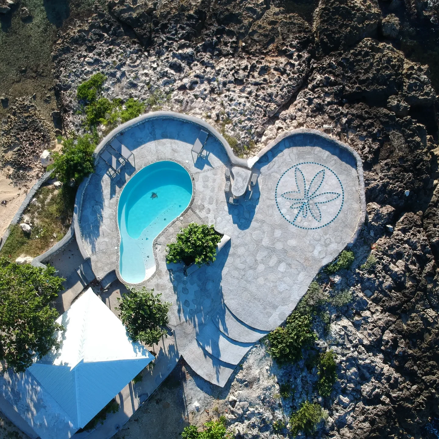 coral cove wellness resort 5 coral cove wellness resort 5