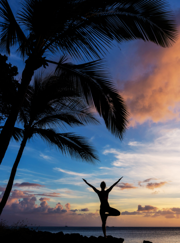 Nature Immersion Nature Immersion