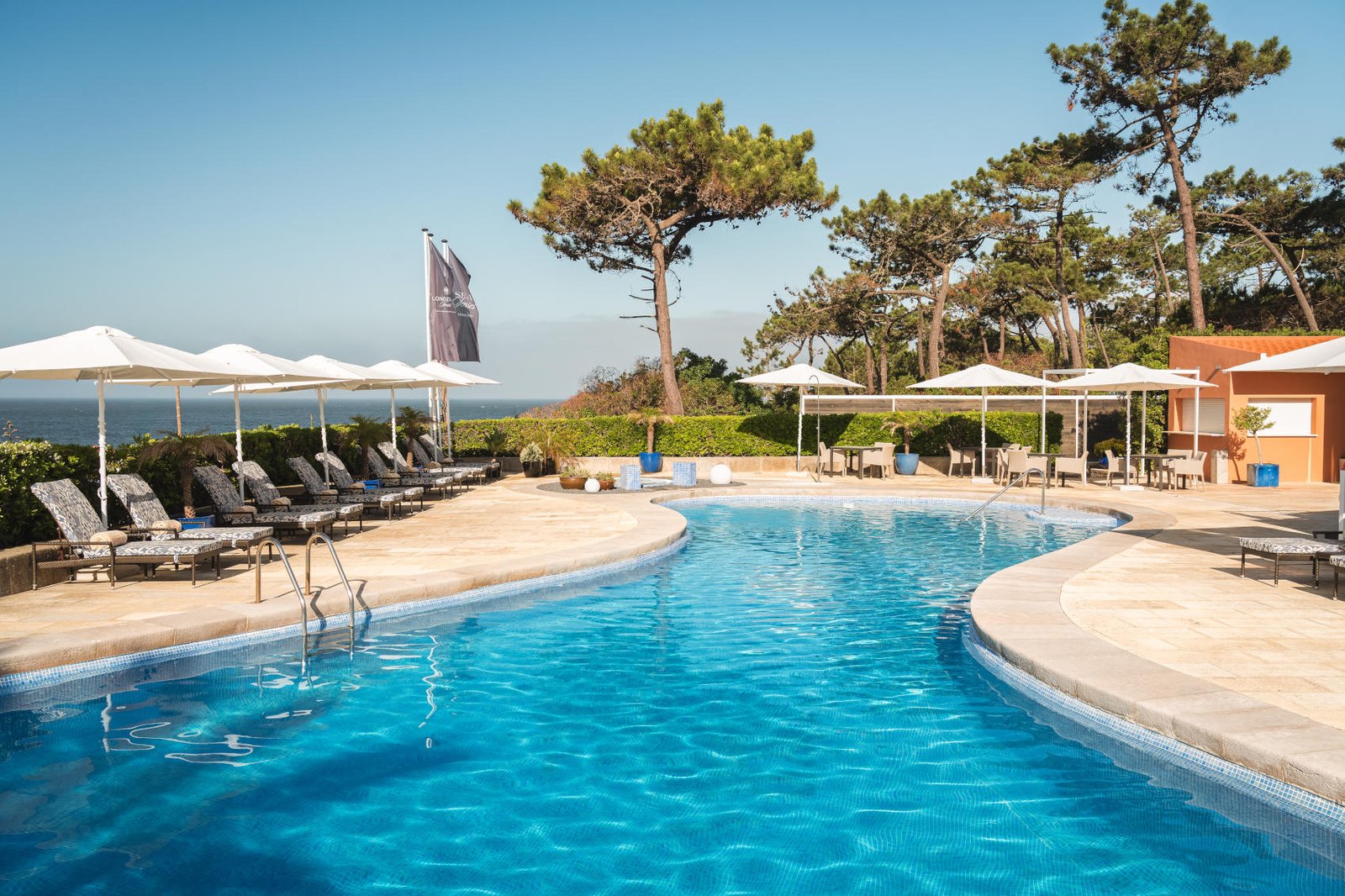 June XX, 2027
Longevity Senses Cascais 
Sharon Feanny