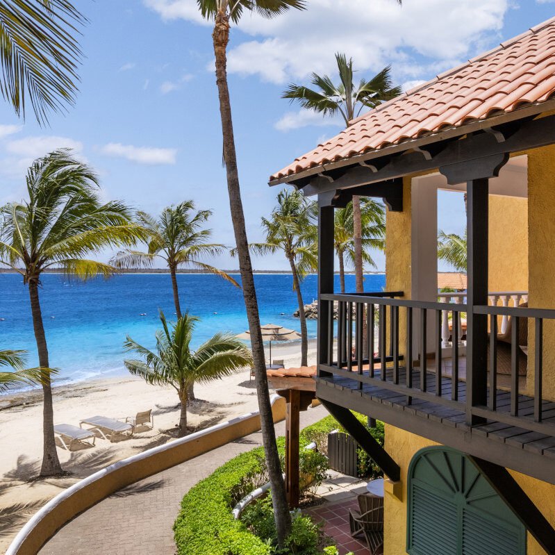 1 Main photo on intro page