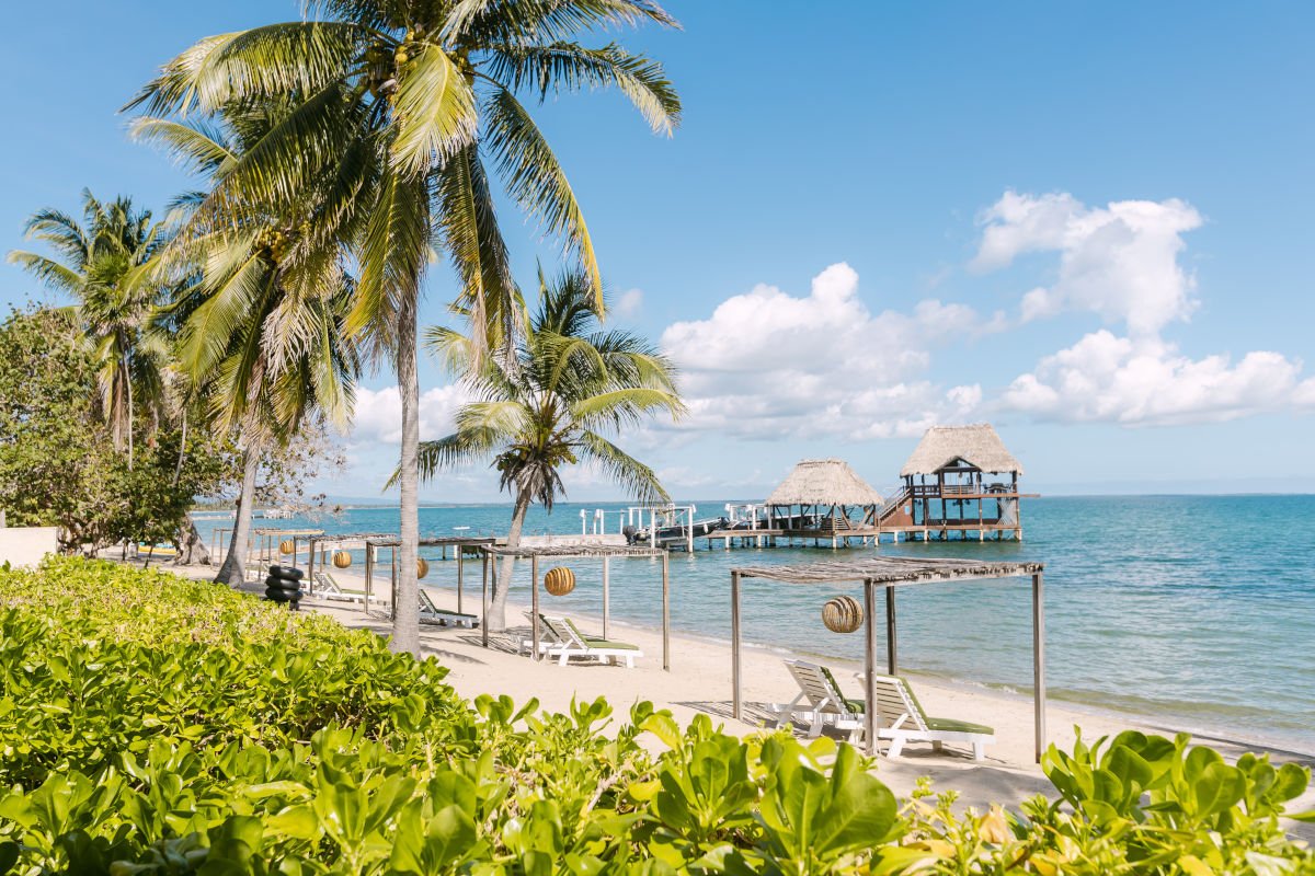 October 8-12, 2026
Almond Beach Resort
Zahra Alavi, Sarah Bellini & Tania Hansraj